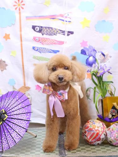 20240525レオくん 